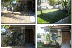 Before-After-03