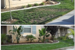 Before-After-06