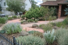 FlagXeriscape house 2d